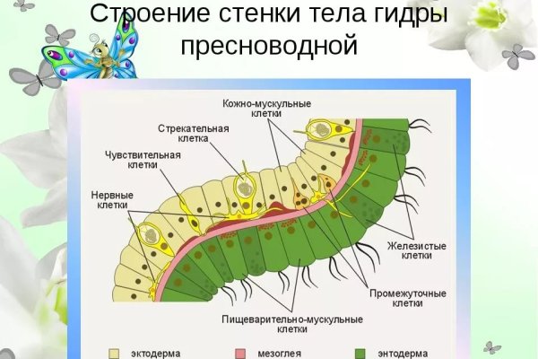 Ссылки сливов на mega